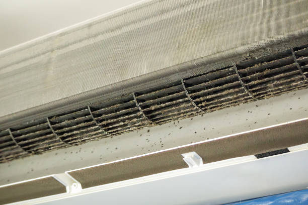 Best Affordable Duct Cleaning Services  in Veneta, OR